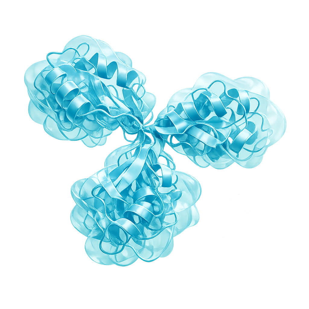 Antibody structure rendered in translucent cyan