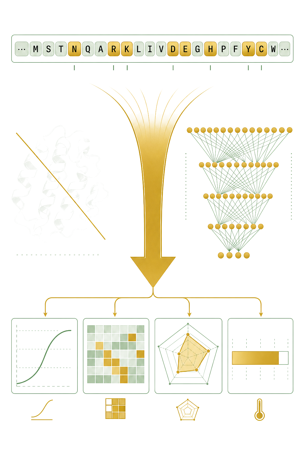 Sequence-to-function direct prediction: AINN-P1 reads an amino acid sequence (top) and predicts binding affinity, specificity, developability, and thermostability directly (bottom), skipping the traditional sequence → 3D structure → function cascade (shown ghosted and struck through).